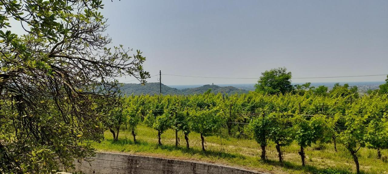 Agriturismo Casa Delle Rose Winery Ruttàrs Exterior photo