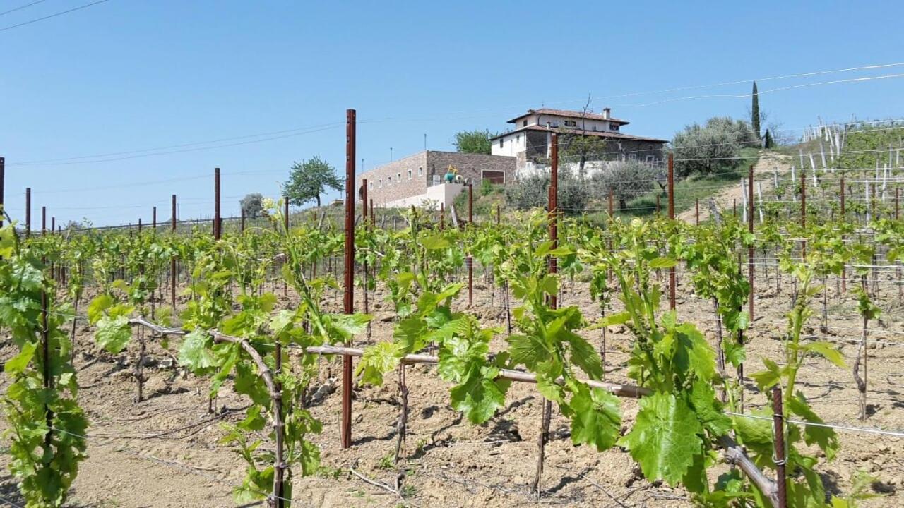 Agriturismo Casa Delle Rose Winery Ruttàrs Exterior photo