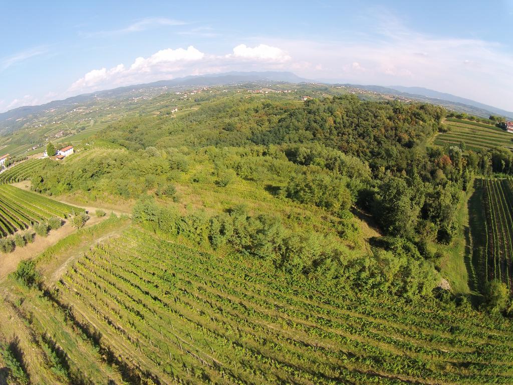 Agriturismo Casa Delle Rose Winery Ruttàrs Exterior photo