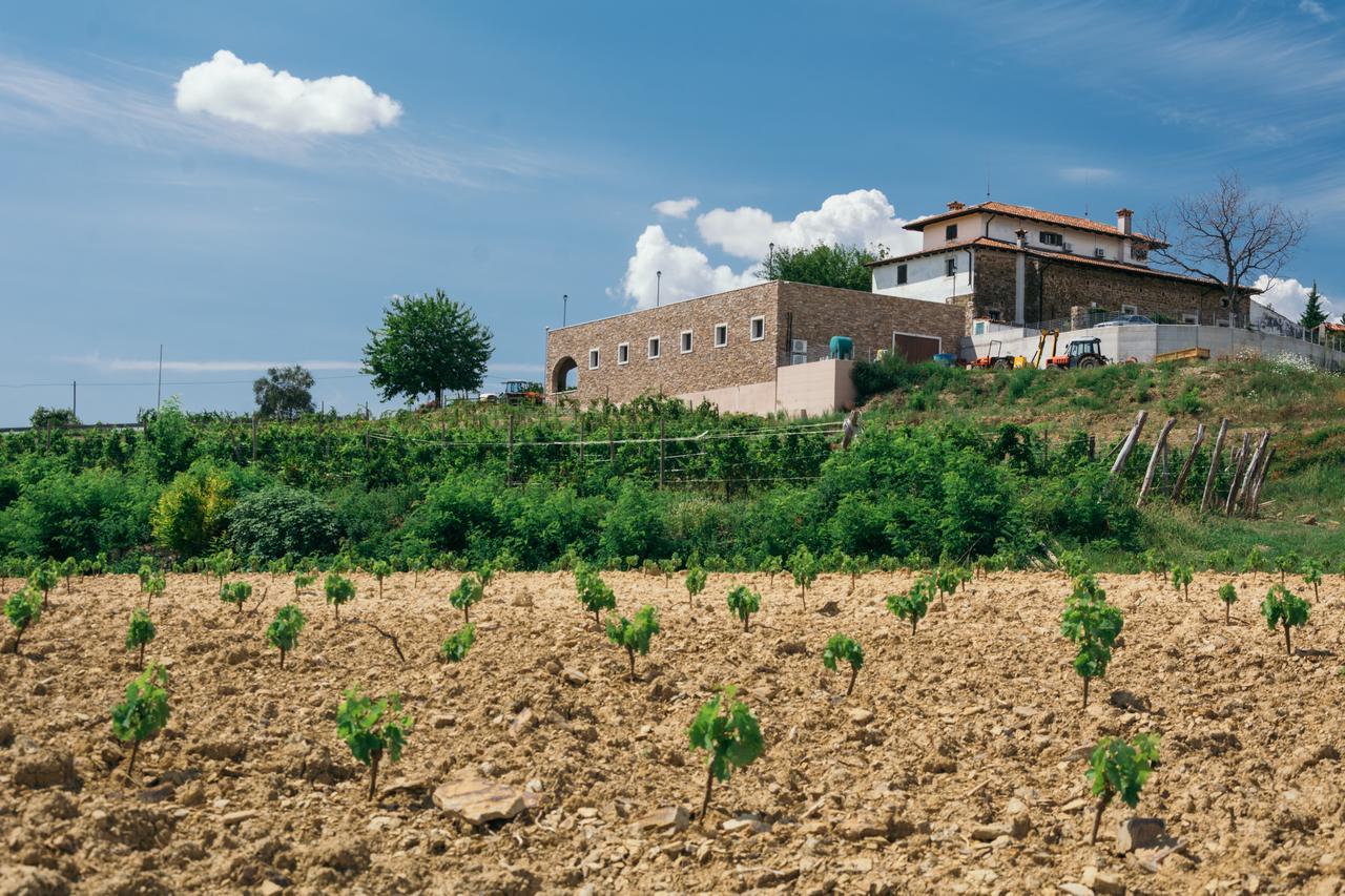 Agriturismo Casa Delle Rose Winery Ruttàrs Exterior photo