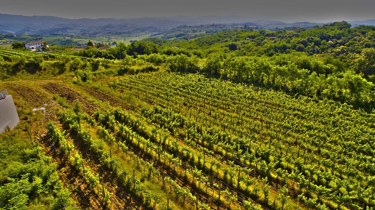 Agriturismo Casa Delle Rose Winery Ruttàrs Exterior photo